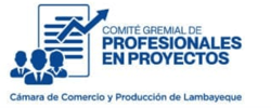 Comité gremial de profesionales en proyectos